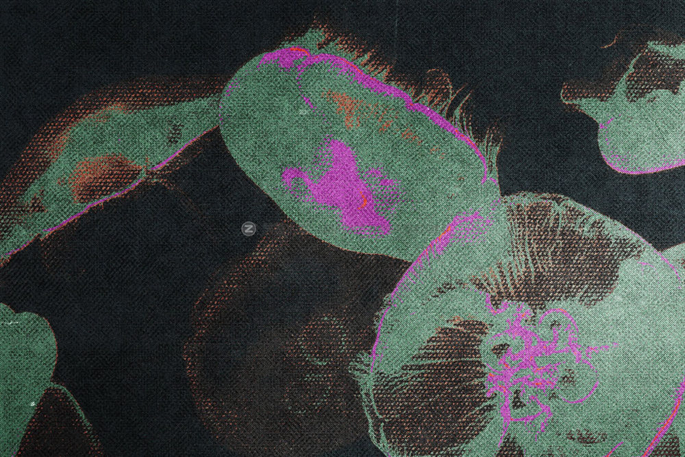 复古做旧半调酸性摇滚风照片处理特效ps样机模板源文件 Neon Cotton Photo Effect_img_2
