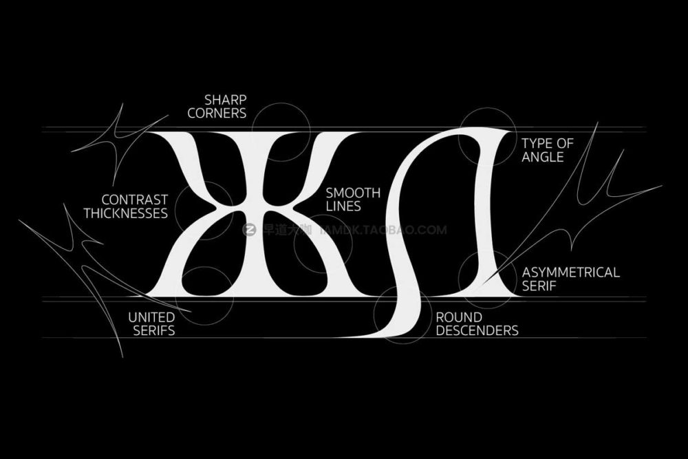 现代女性化嘻哈酸性尖锐服装海报标题logo设计衬线英文字体包 SK Femme Fatale — Decorative Serif_img_2