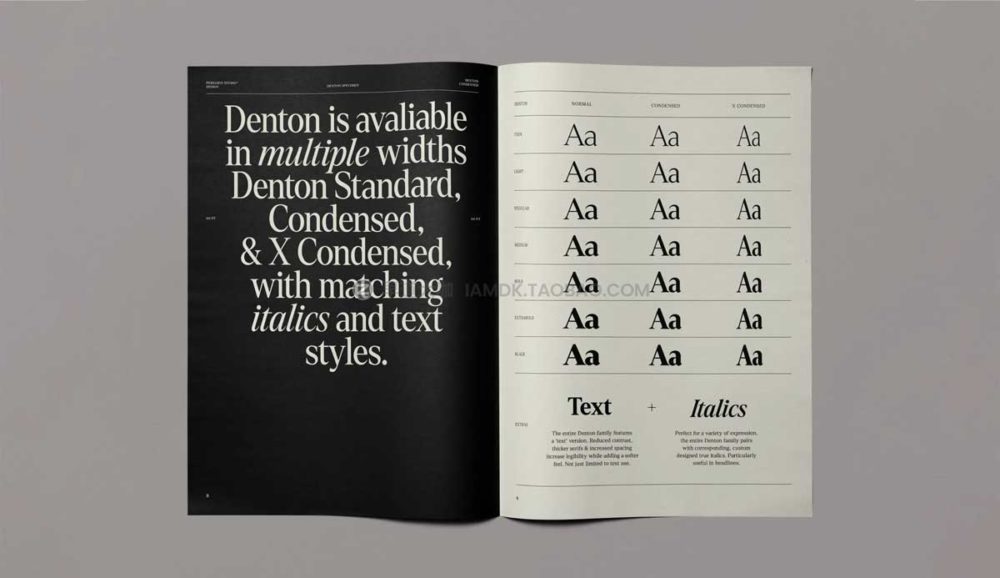 70年代复古杂志封面排版标题徽标设计衬线英文字体包 Denton Serif Superfamily_img_2