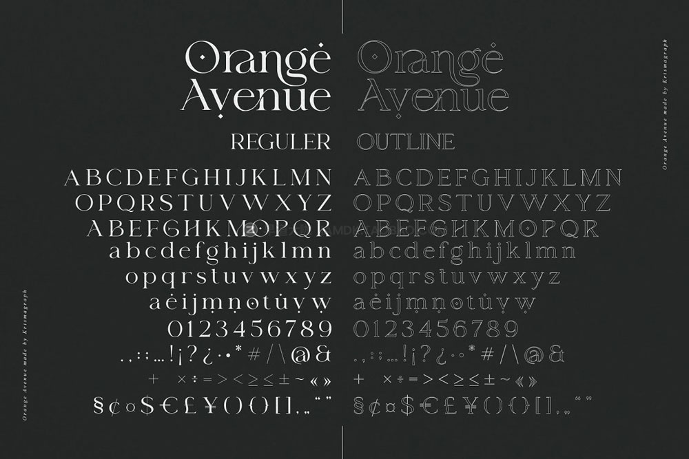 现代优雅女性化婚礼品牌包装标题logo设计衬线英文字体包 Orange Avenue - Ligature Serif Font_img_2