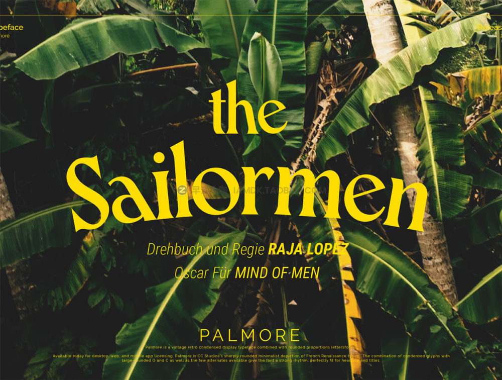 时尚复古浓缩潮流海报杂志包装标题排版PALMORE衬线英文字体包 PALMORE - Vintage Rounded Serif_img_2