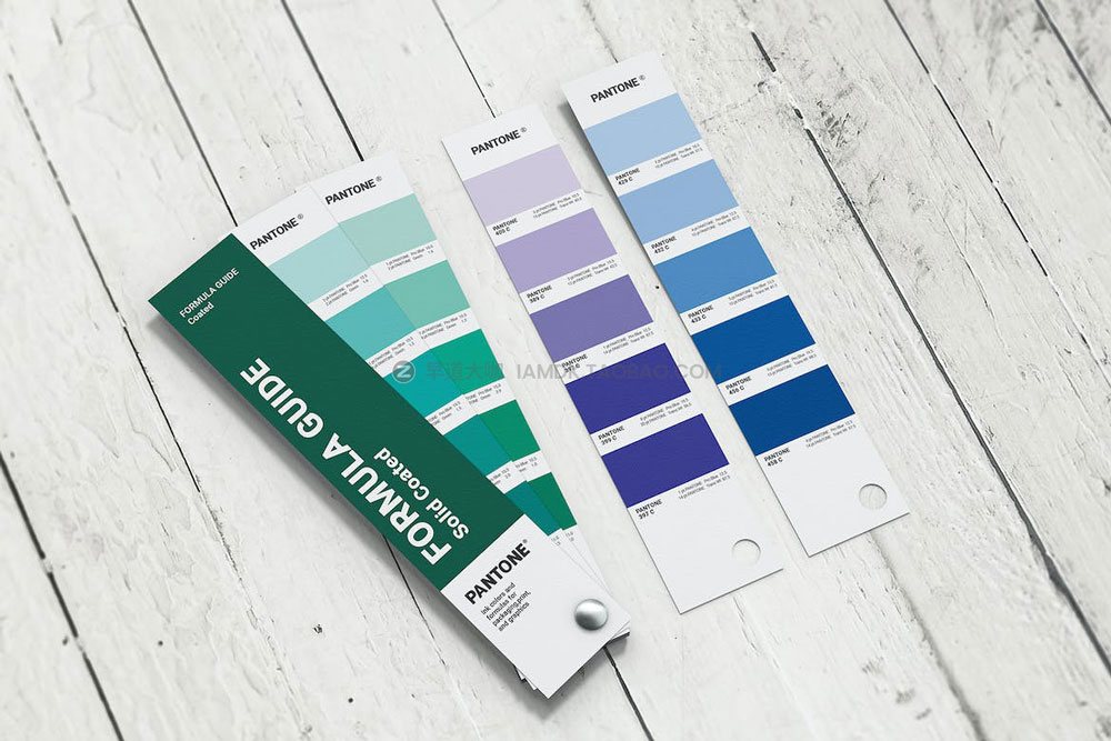 时尚Pantone潘通色卡色谱专色配色指南册子设计ps贴图样机模板 Pantone Book Mockup_img_2