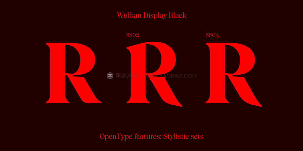 现代优雅尖锐海报标题logo设计衬线英文字体安装包 Wulkan Display 2.0 Font Family_img_2