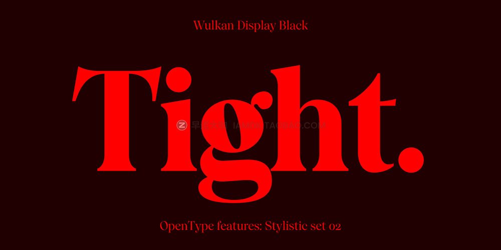 现代优雅尖锐海报标题logo设计衬线英文字体安装包 Wulkan Display 2.0 Font Family_img_2