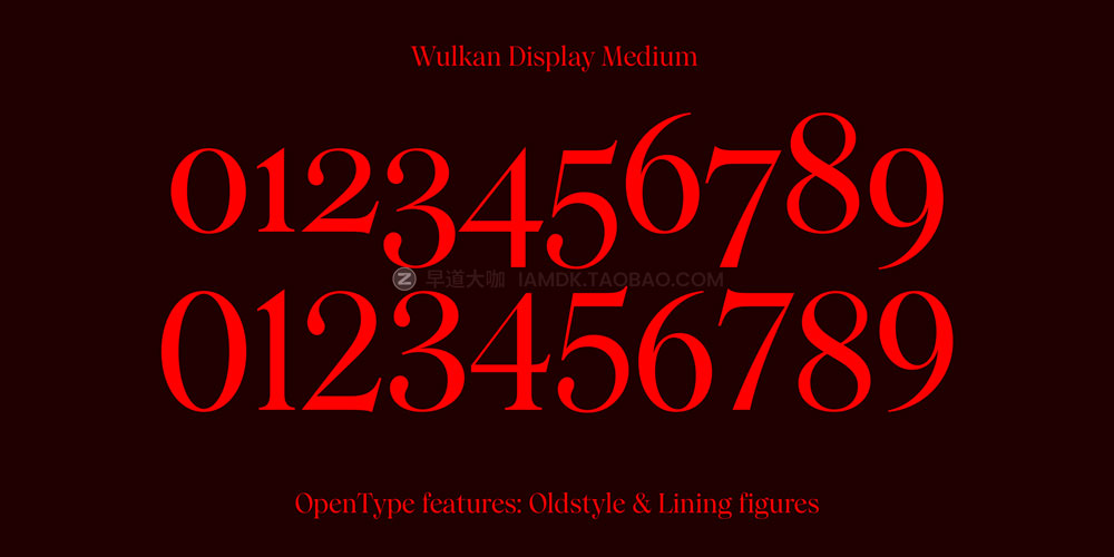 现代优雅尖锐海报标题logo设计衬线英文字体安装包 Wulkan Display 2.0 Font Family_img_2