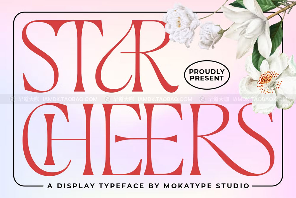 现代优雅杂志海报包装设计衬线英文字体 Starcheers - Unique Display Serif_img_2