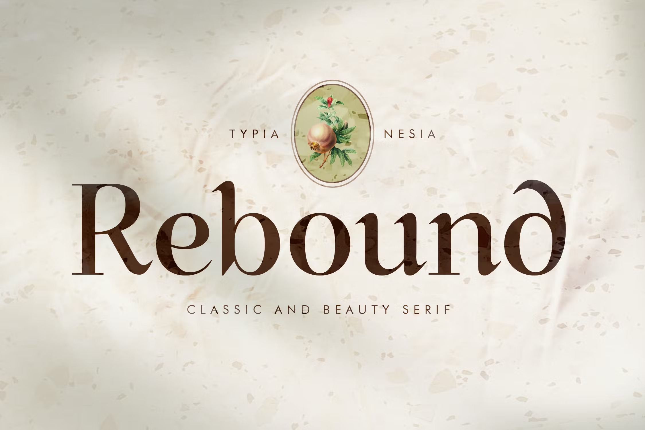 优雅复古杂志品牌标题设计衬线英文字体 Rebound - Classic Beauty Serif - Vintage Font_img_2