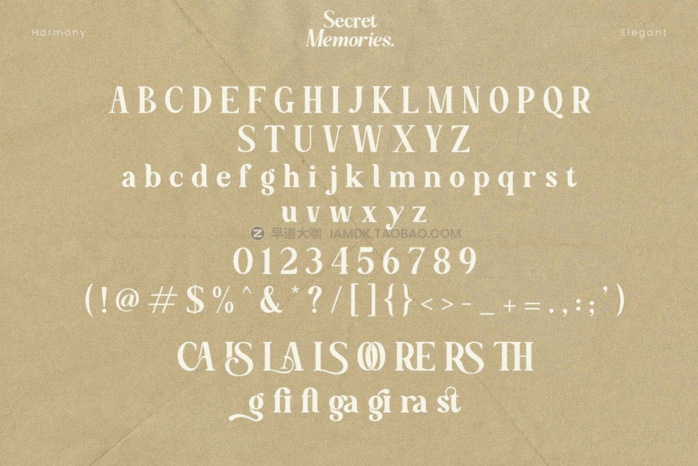 时尚优雅复古波西米亚风杂志排版徽标logo设计衬线英文字体素材 Secret Memories Font_img_2