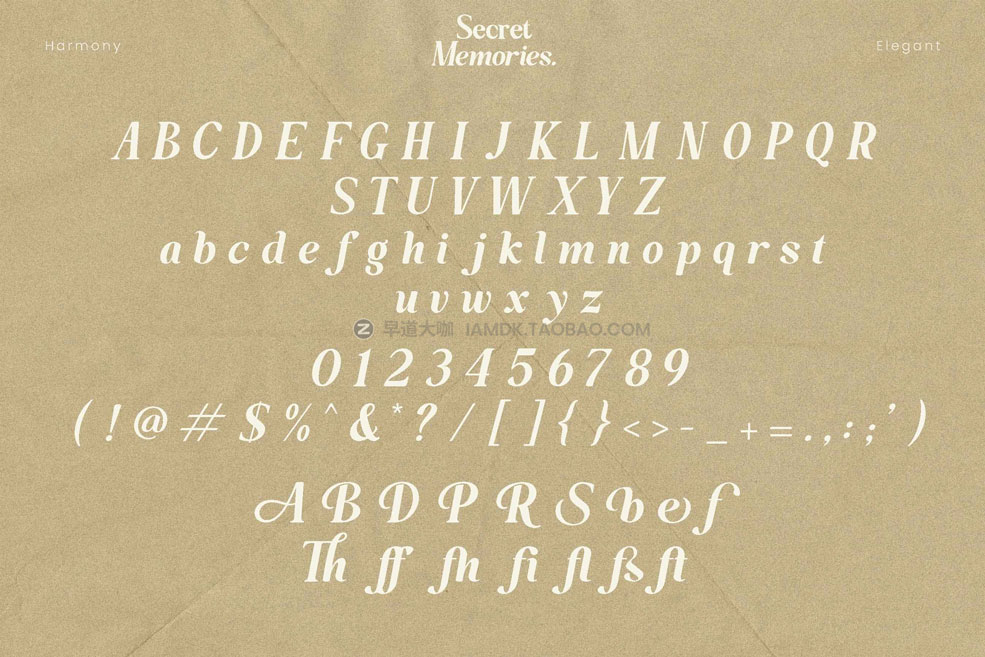 时尚优雅复古波西米亚风杂志排版徽标logo设计衬线英文字体素材 Secret Memories Font_img_2