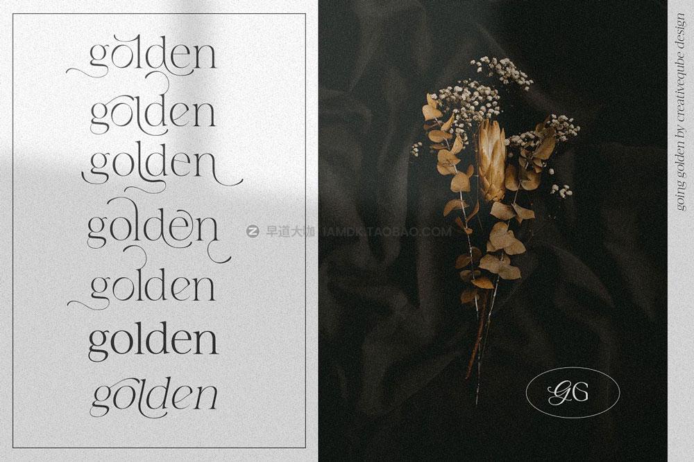 时尚优雅婚礼请柬杂志排版标题logo设计衬线英文字体安装包 Going Golden Font Family_img_2