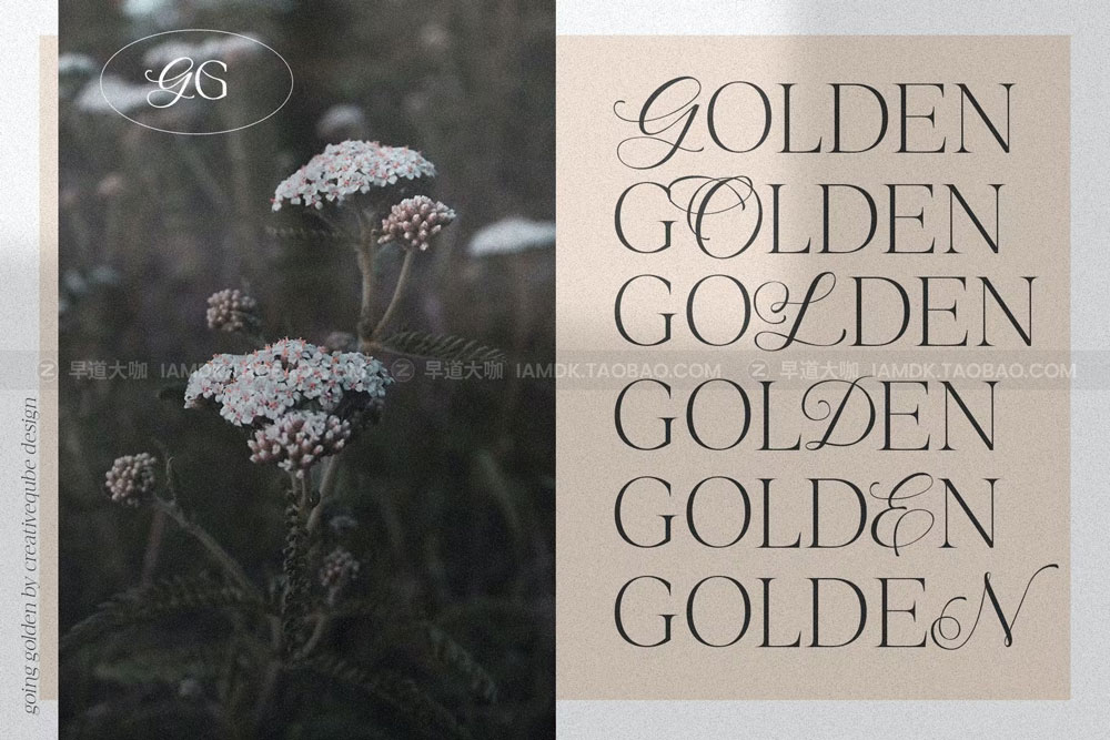 现代婚礼请柬报价徽标logo设计衬线英文字体 Going Golden Font Family_img_2