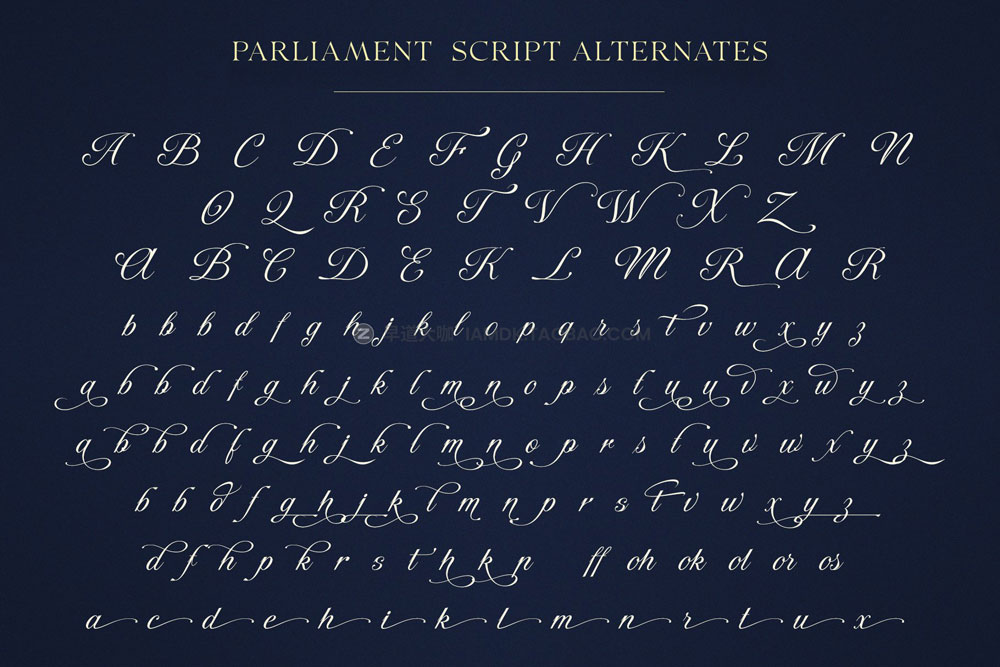 时尚优雅奢华婚礼产品包装标题logo设计手写签名英文字体素材 Parliament | Font Duo_img_2