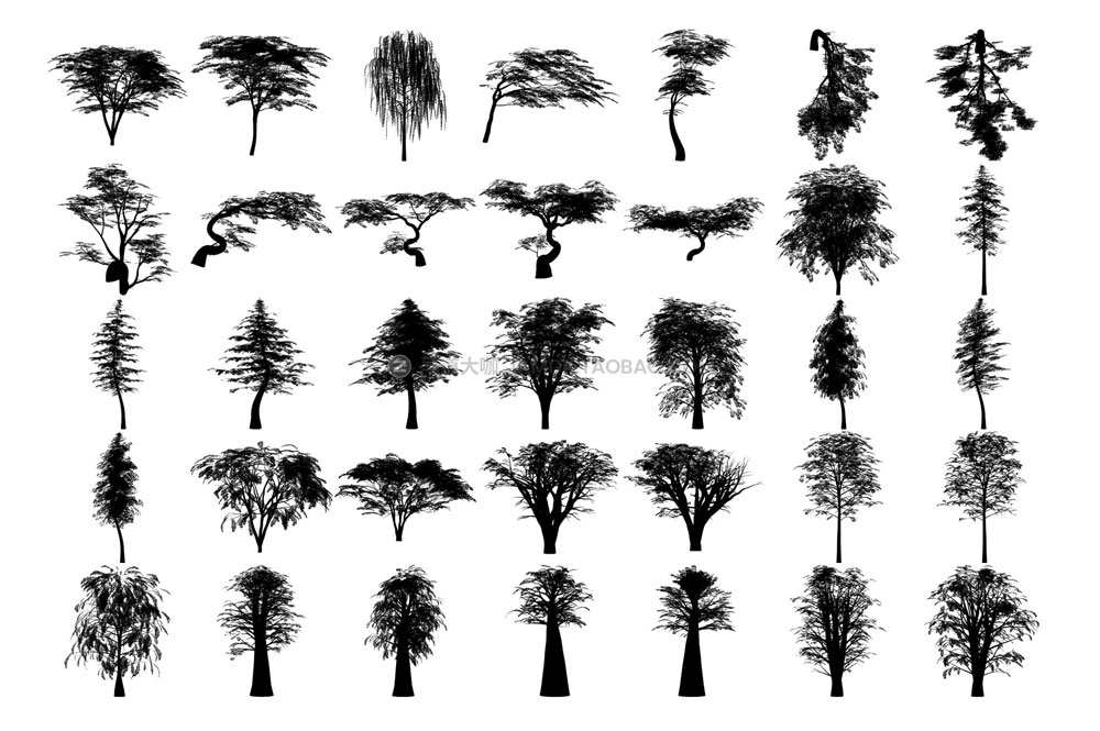 300多款逼真森林树木树叶叶子ps/procreate/affinity笔刷设计素材 Tree Brushes - Willow Edition_img_2