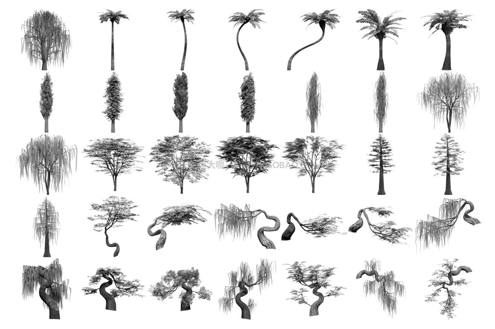 300多款逼真森林树木树叶叶子ps/procreate/affinity笔刷设计素材 Tree Brushes - Willow Edition_img_2