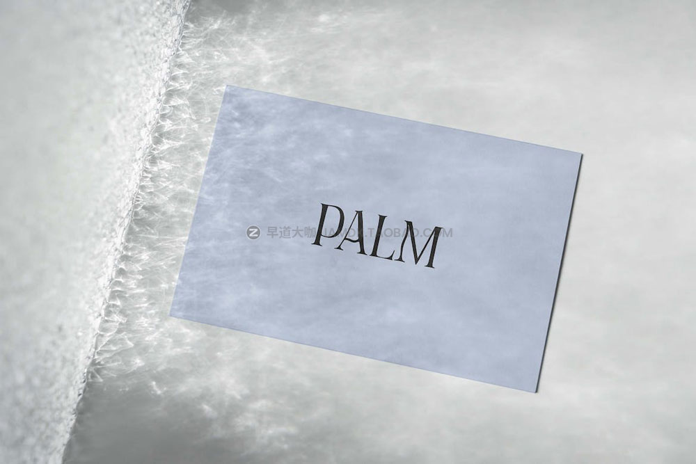 时尚高级品牌logo设计商务名片卡片设计展示贴图psd样机模板 Business Card Mockup Reflection_img_2