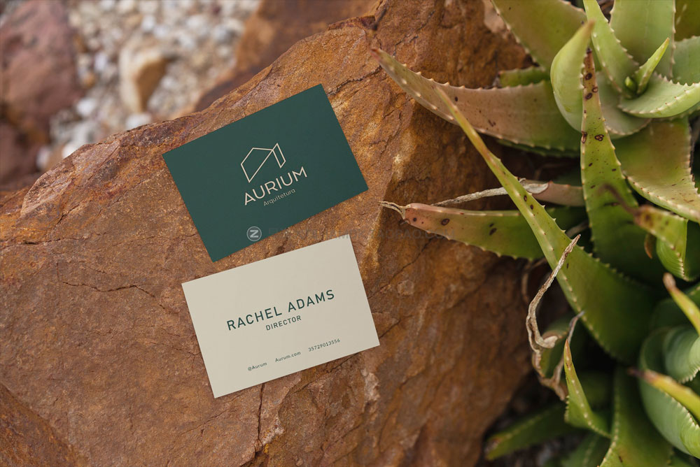 时尚优雅商务名片卡片品牌logo设计展示贴图psd样机模板 Business Card Mockup Tropical_img_2