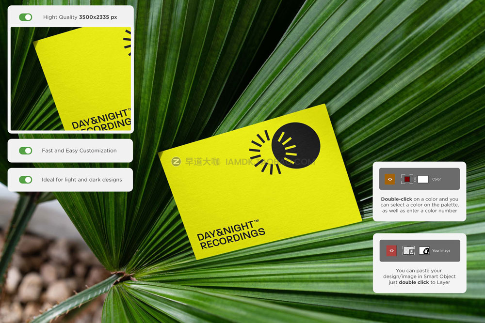 时尚优雅商务名片卡片品牌logo设计展示贴图psd样机模板 Business Card Mockup Tropical_img_2