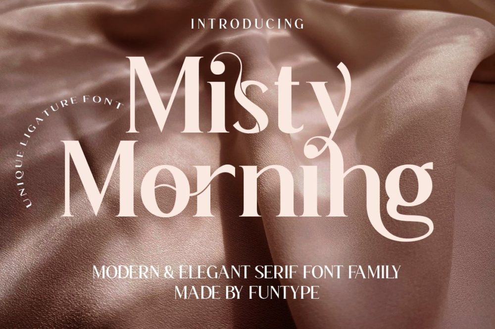 现代优雅豪华海报杂志标题排版logo设计衬线英文字体家族 Misty Morning Font Family_img_2