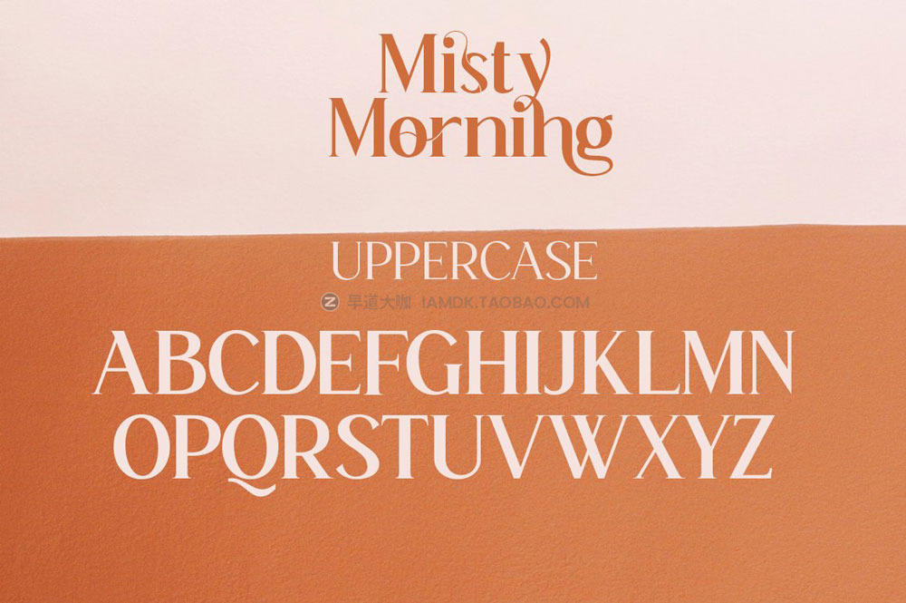 现代优雅豪华海报杂志标题排版logo设计衬线英文字体家族 Misty Morning Font Family_img_2