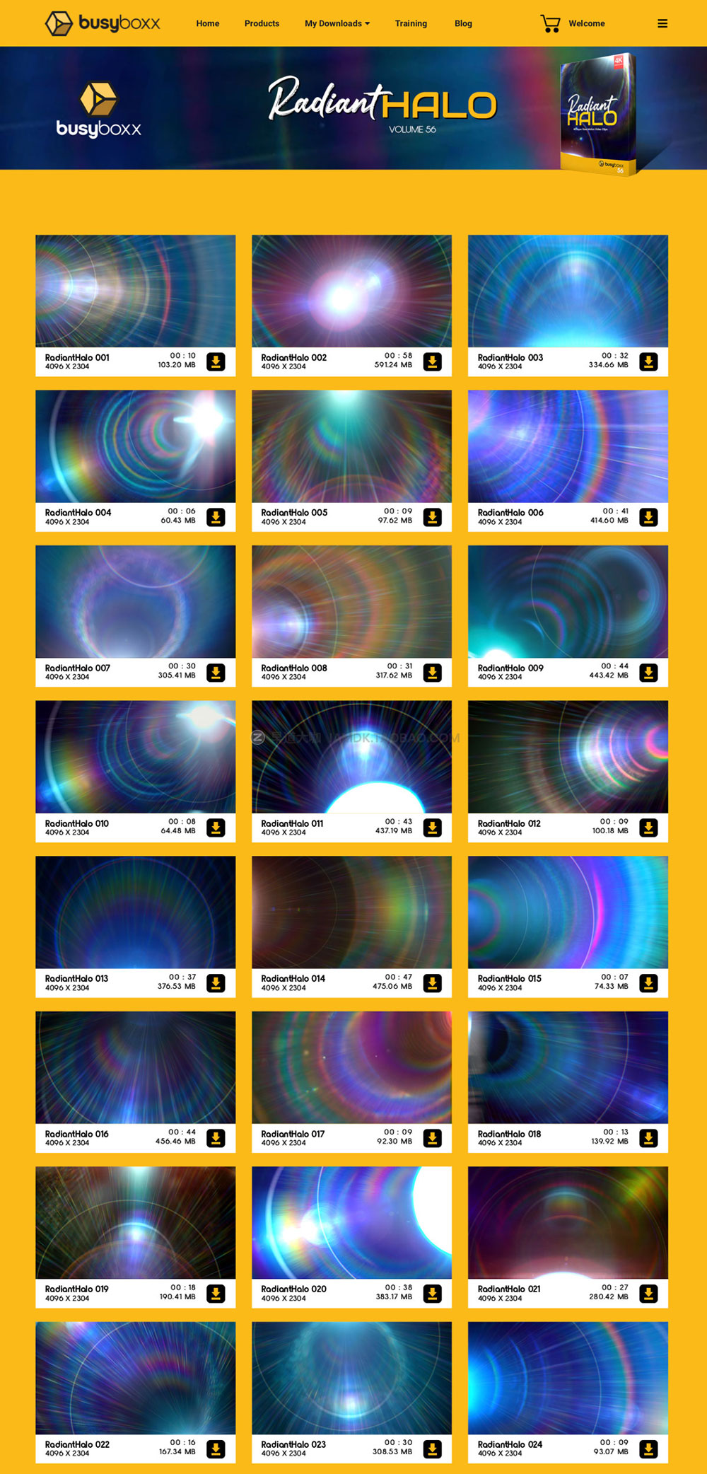 54款镜头光晕光环光辉叠加特效合成4K视频素材 Busyboxx - V56: Radiant Halo_img_2