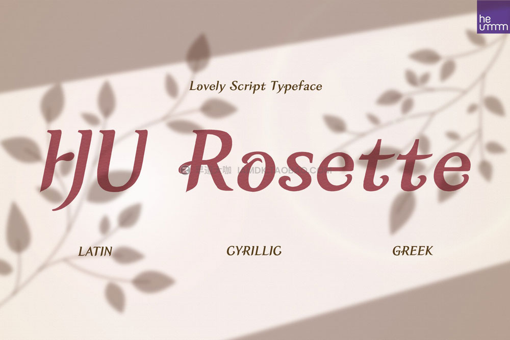 时尚浪漫优雅婚礼贺卡海报设计衬线英文字体安装包 HU Rosette Font Family_img_2