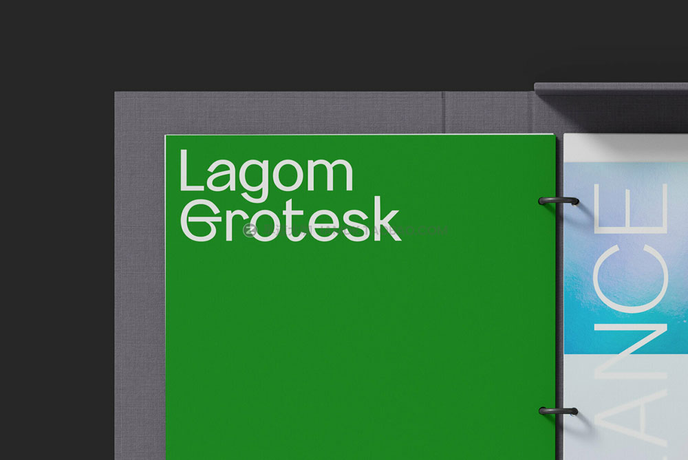 现代时尚几何学杂志海报标题logo设计PSAI无衬线英文字体安装包 Lagom Grotesk Font Family_img_2