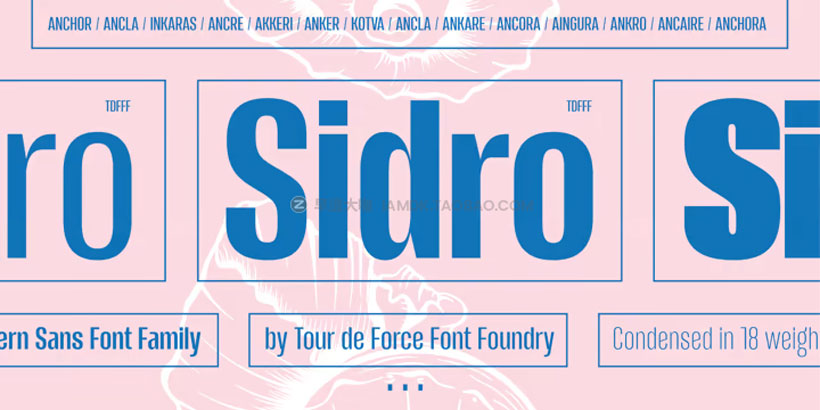 现代独特包装杂志品牌logo标题设计挤压无衬线英文字体家族 Sidro Font Family_img_2