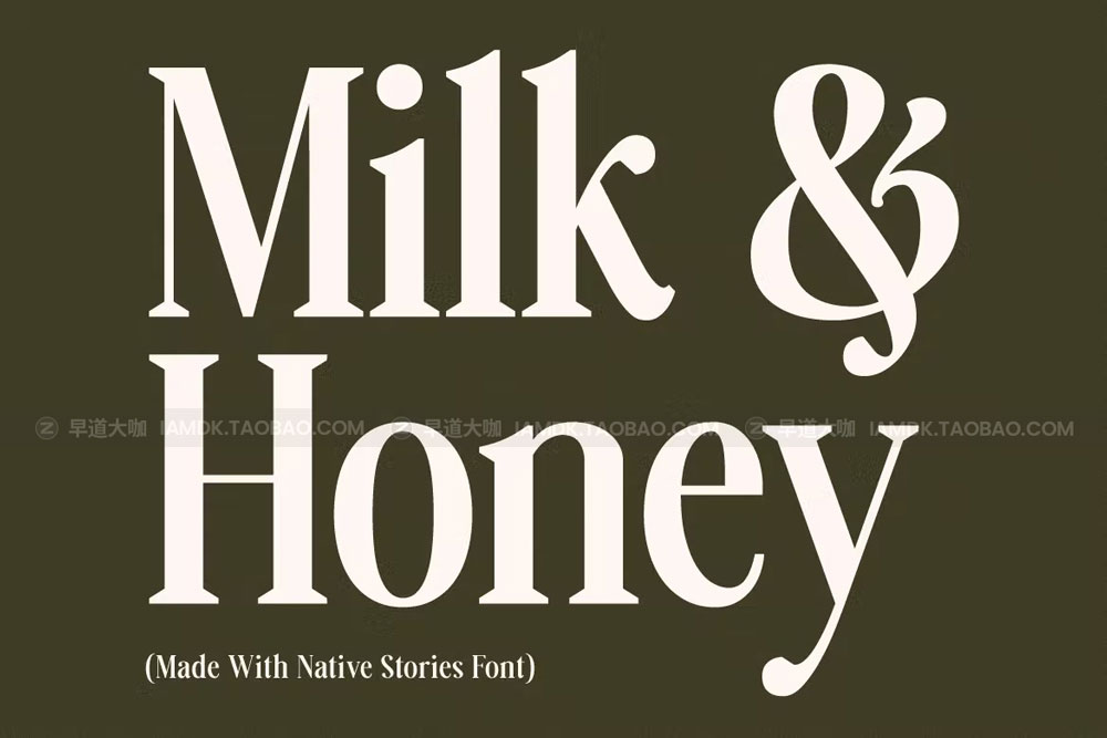 现代复古品牌杂志海报设计衬线英文字体 Native Stories - Classic Serif Font_img_2