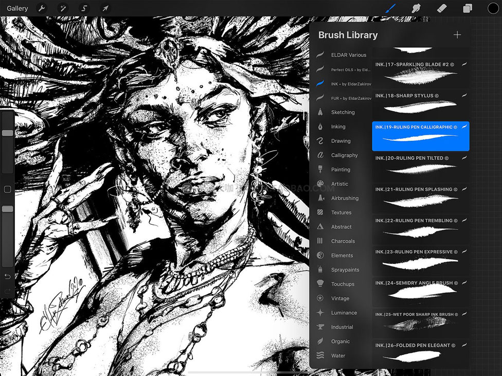 63款逼真钢笔墨水飞溅喷雾艺术绘画效果iPad Procreate笔刷设计素材 INK• 63 inking brushes for Procreate_img_2