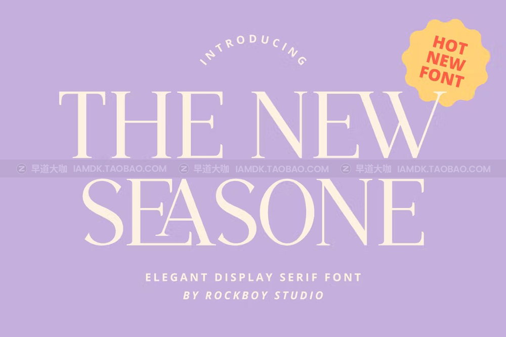 时尚优雅杂志广告标识设计衬线英文字体 The New Seasone - Elegant Display Serif_img_2