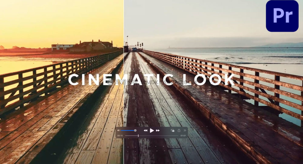 LUTs预设 500多个好莱坞大片电影视频调色 支持M1 LUTs Color Presets for Premiere Pro_img_2