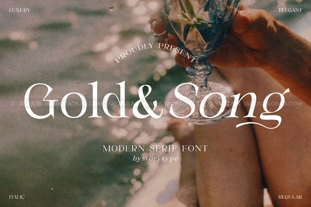 现代优雅品牌海报项目设计衬线英文字体 Gold Song Serif Font_img_2