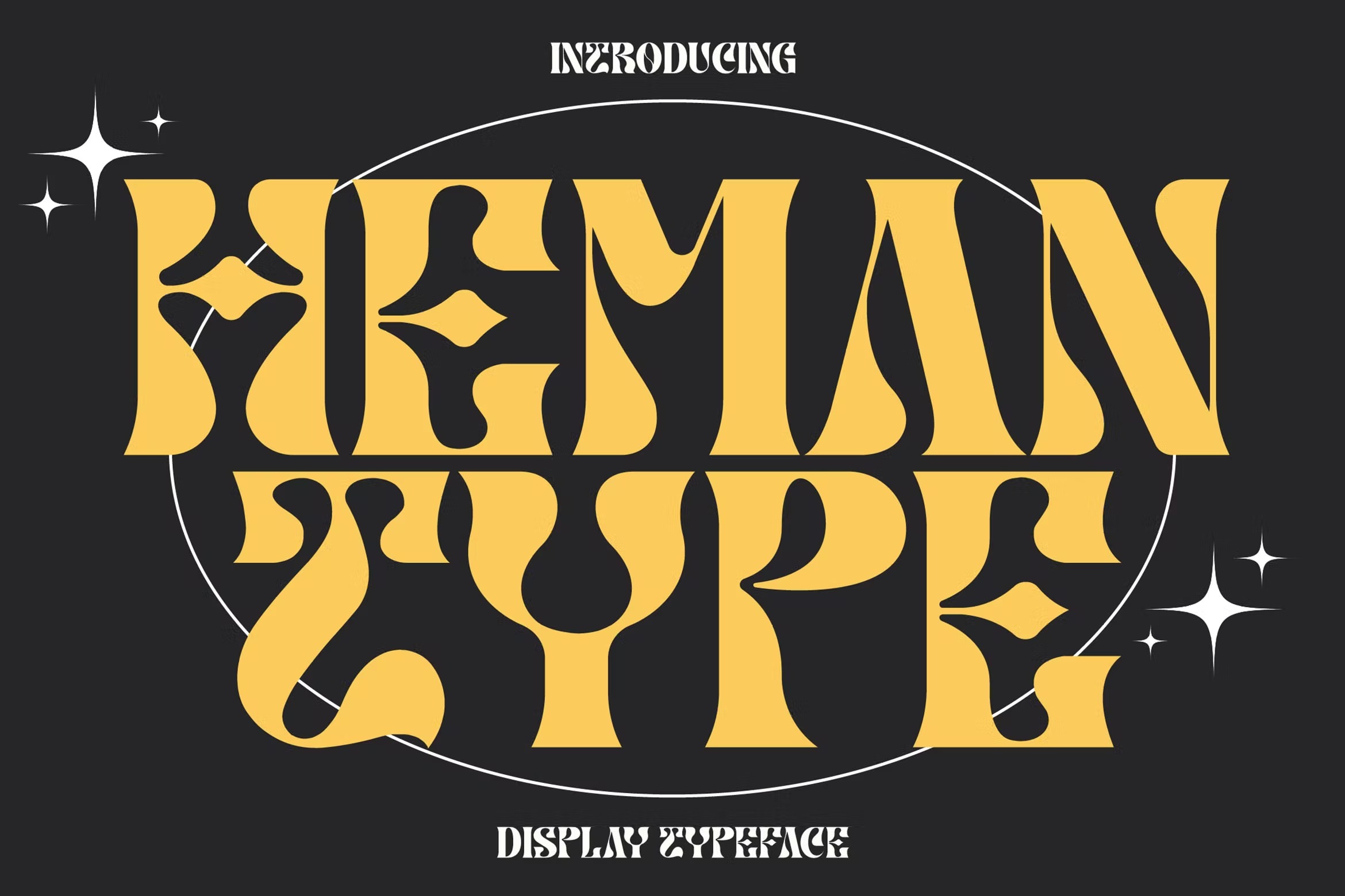 现代优雅品牌海报标识设计衬线英文字体 Heman Type Display Font_img_2