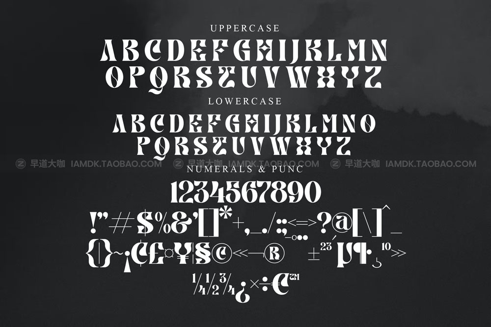 现代优雅品牌海报标识设计衬线英文字体 Heman Type Display Font_img_2