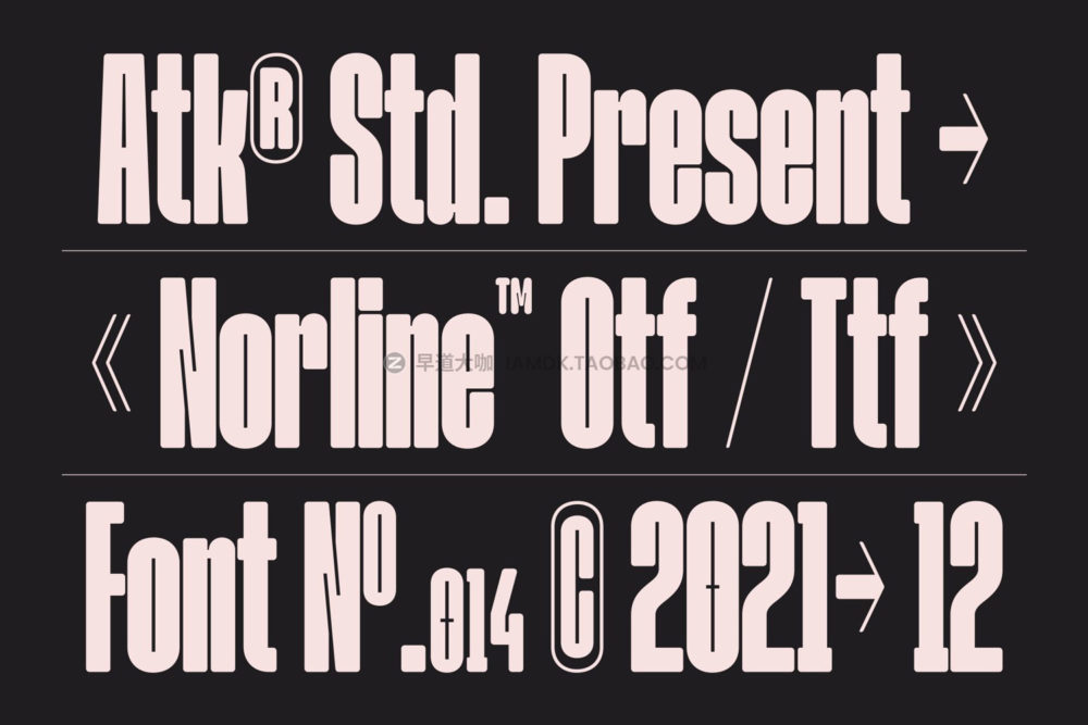 现代优雅压缩圆角标题logo设计无衬线英文字体安装包 Norline - Font Family_img_2
