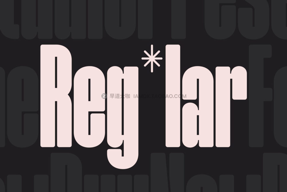 现代优雅压缩圆角标题logo设计无衬线英文字体安装包 Norline - Font Family_img_2