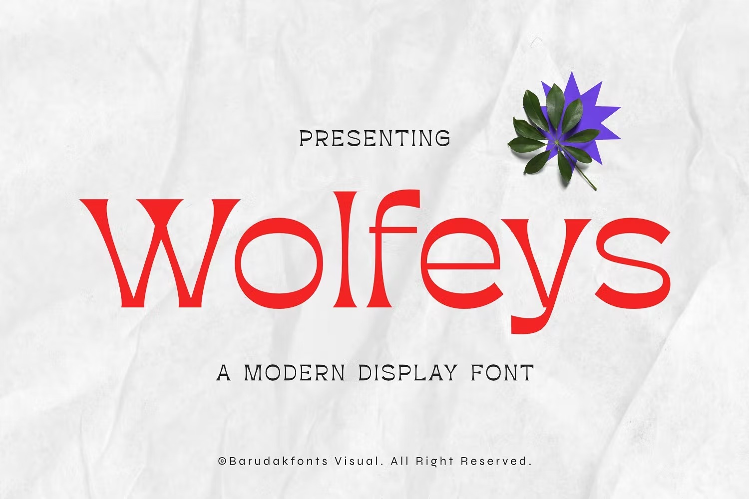 现代杂志贴纸徽标logo设计无衬线英文字体 Wolfeys - Thin Sans Serif Display Font_img_2