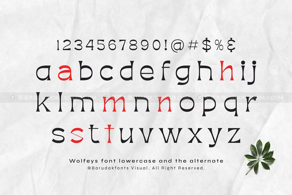 现代杂志贴纸徽标logo设计无衬线英文字体 Wolfeys - Thin Sans Serif Display Font_img_2