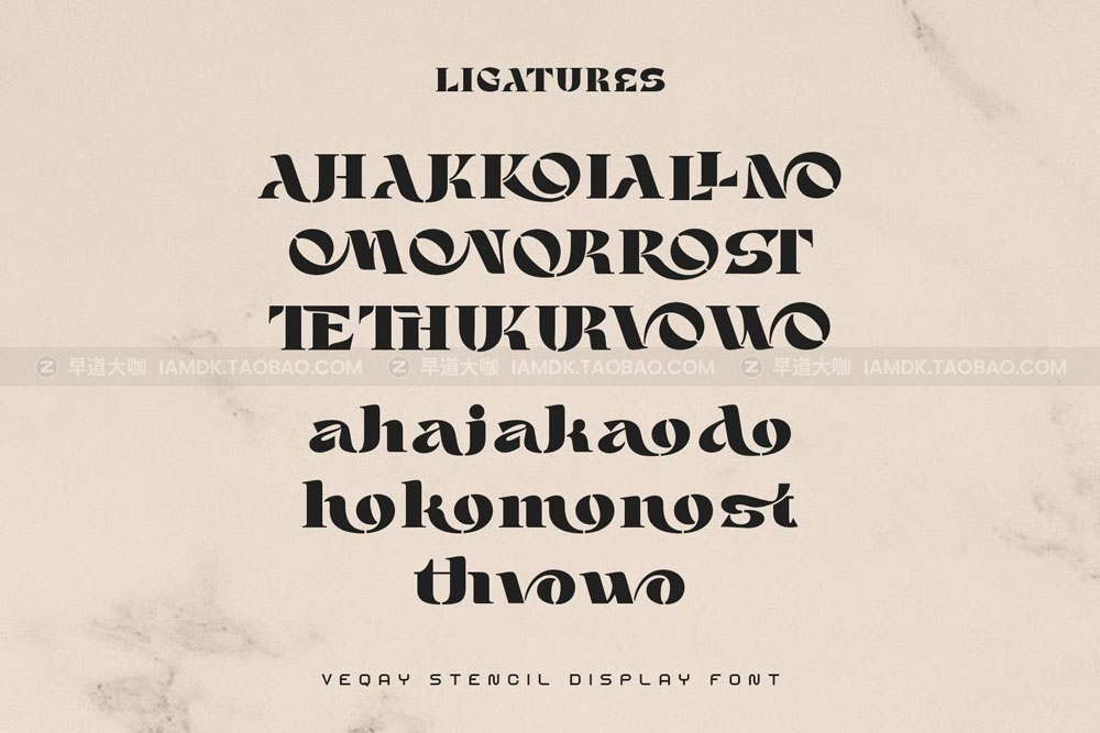 优雅复古杂志海报徽标logo设计衬线英文字体 VEQAY Typeface_img_2