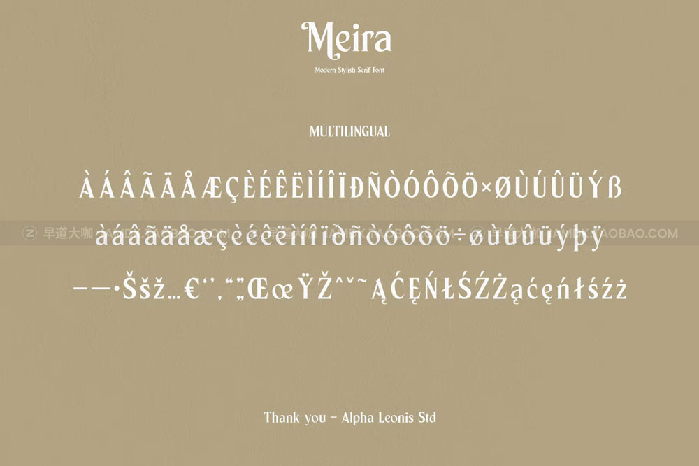 现代优雅品牌海报邀请函设计衬线英文字体 Meira Font_img_2