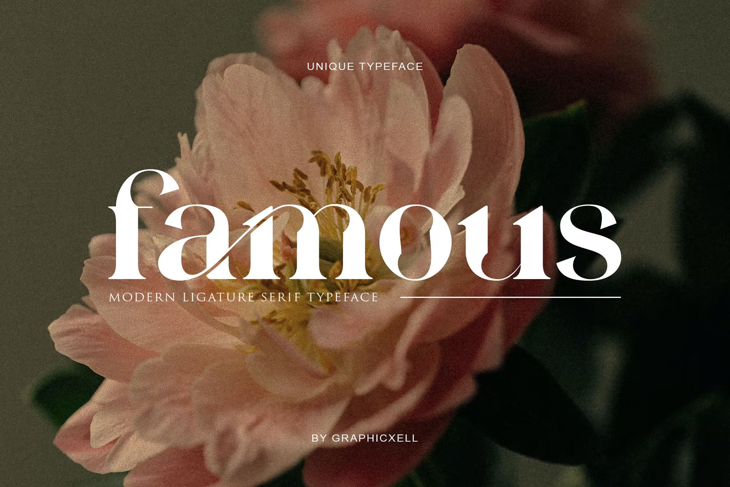 优雅简约品牌广告邀请函设计衬线英文字体 Famous Serif Font_img_2