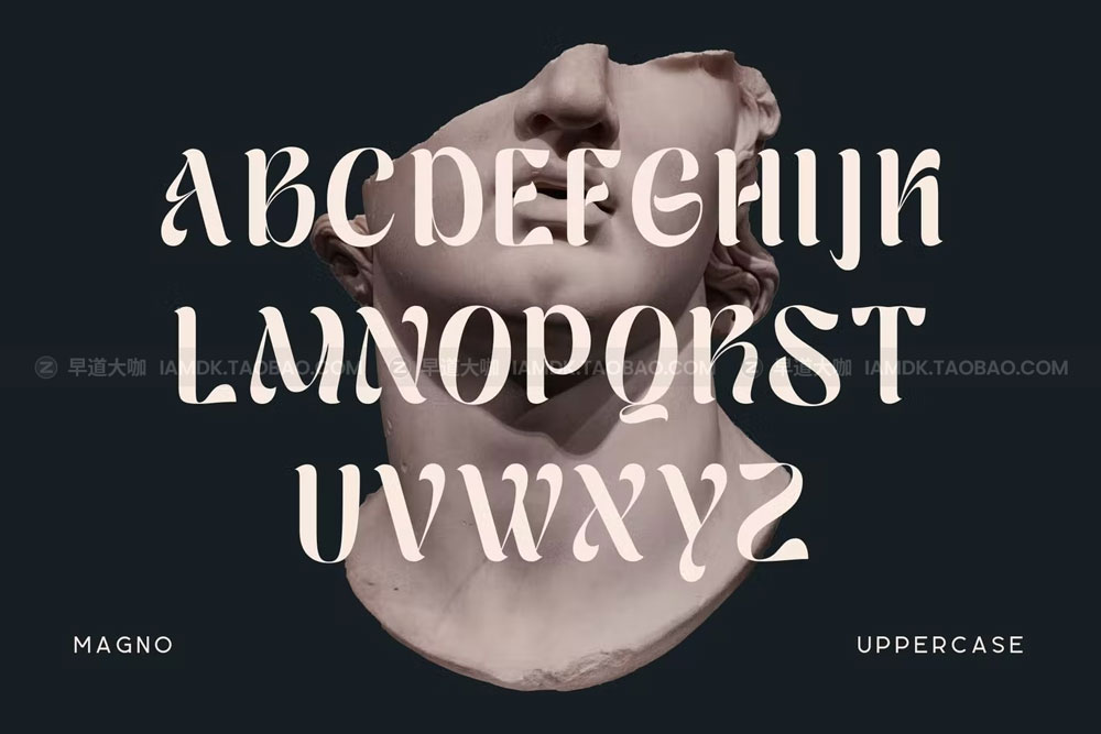 时尚复古杂志广告徽标logo设计衬线英文字体 Magno - Vintage Font_img_2