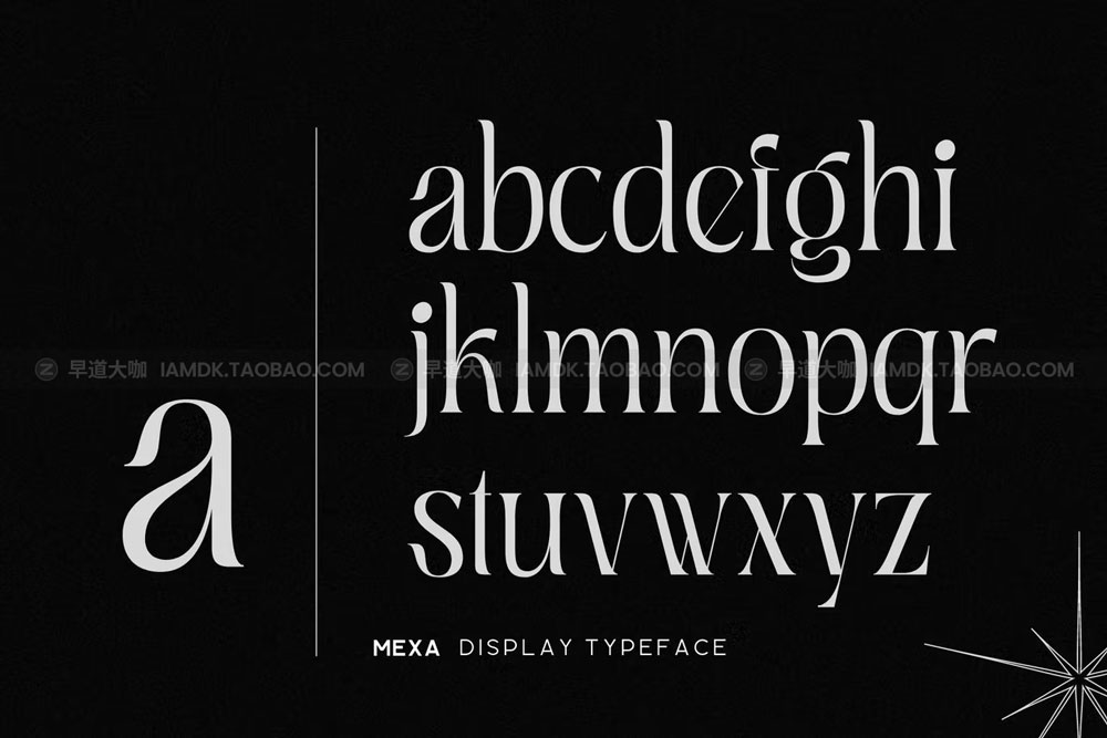 现代优雅杂志海报标识设计衬线英文字体 Mexa - Elegant Logo Font_img_2