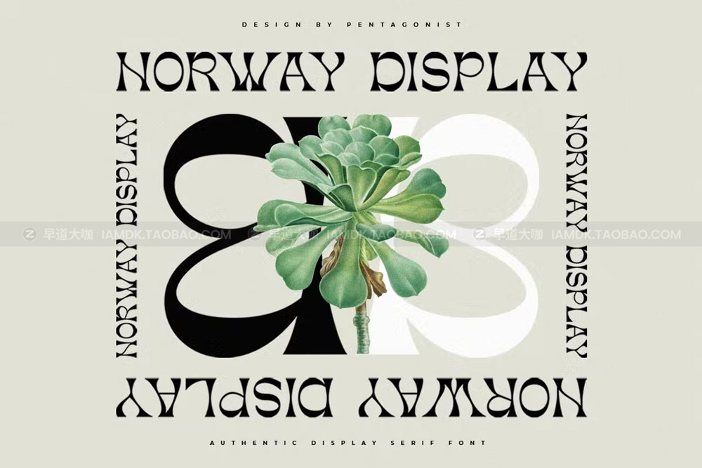 现代复古杂志海报徽标logo设计衬线英文字体 Norway  Authentic Display Typeface_img_2