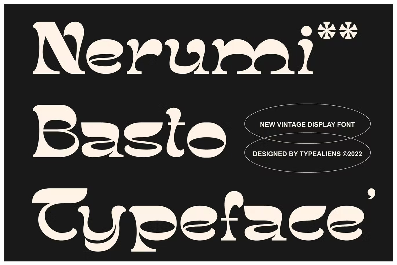 现代复古杂志海报徽标logo设计装饰性英文字体 Nerumi Basto_img_2