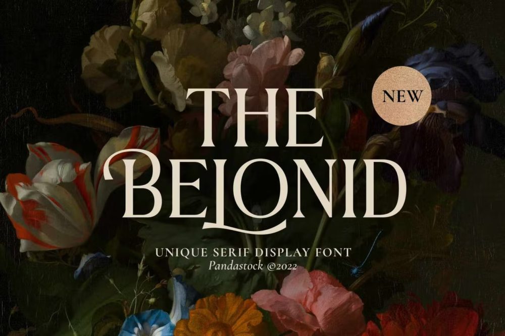 优雅奢华杂志海报标签设计衬线英文字体 The Belonid - Cool Serif Fonts_img_2