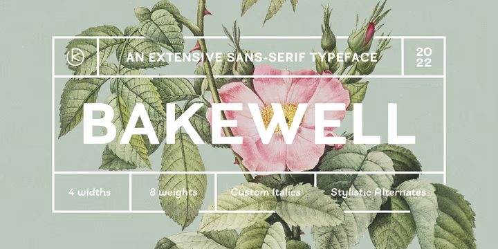 现代品牌杂志标识设计无衬线英文字体 Bakewell Font Family_img_2