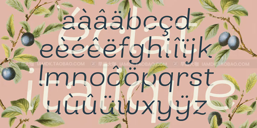 现代品牌杂志标识设计无衬线英文字体 Bakewell Font Family_img_2