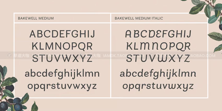 现代品牌杂志标识设计无衬线英文字体 Bakewell Font Family_img_2