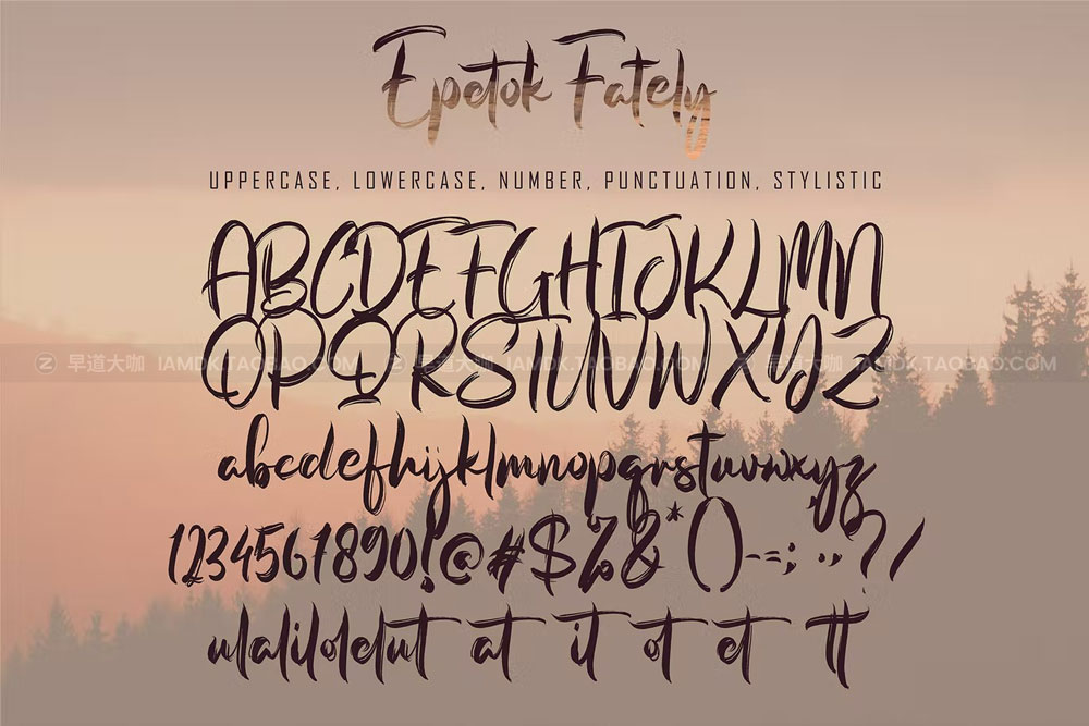 现代海报邀请函徽标logo设计手写英文字体 Epetok Fately font with new style, this font will_img_2